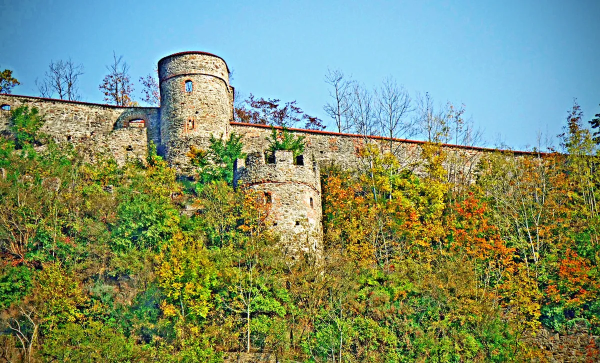 The Mechanism of Action: How Localized Therapy Outperforms Systemic Relief